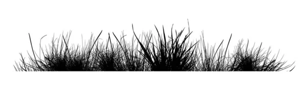 Sylwetka czarnej trawy. Ilustracja wektora — Wektor stockowy