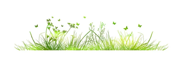 Herbe verte. La ligne horizontale de l'herbe. Prairie d'été avec des fleurs et des papillons. Illustration vectorielle — Image vectorielle