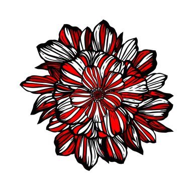 Grafik kırmızı, siyah ve beyaz çiçek. Vektör illüstrasyonu