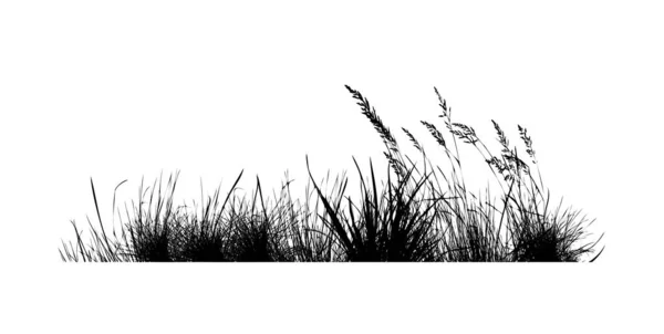Silhouet van zwart gras. Vectorillustratie — Stockvector