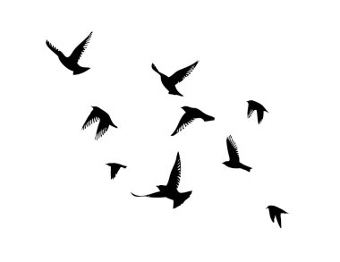 Uçan bir kuş sürüsü. Özgür kuşlar. Vektör illüstrasyonu