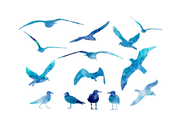 Conjunto de gaivotas marinhas de aquarela azul. Ilustração vetorial — Vetor de Stock