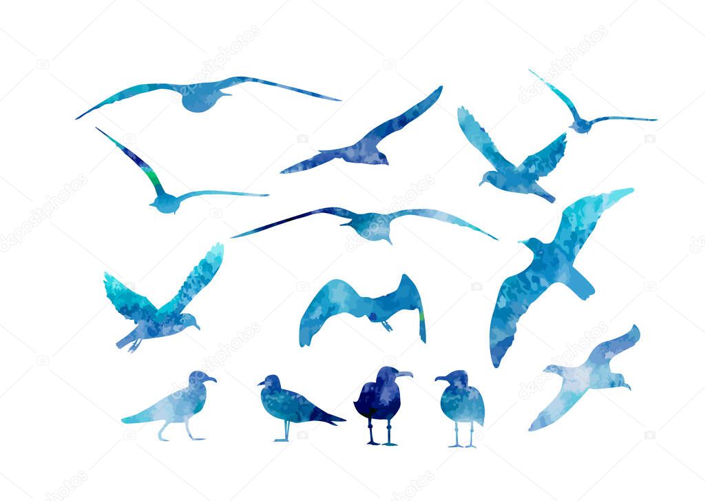 Set of blue watercolor sea gulls. Vector illustration