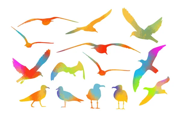Set of multicolored watercolor sea gulls. Vector illustration — Stock Vector