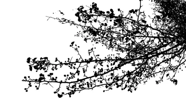 Τα κλαδιά του δέντρου μονόχρωμη φόντο. Εικονογράφηση διανύσματος — Διανυσματικό Αρχείο