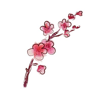 Kiraz çiçekleri filizlenir. Vektör illüstrasyonu