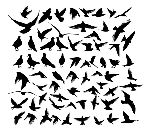 A large set of flying and standing birds. Vector illustration — Vettoriale Stock