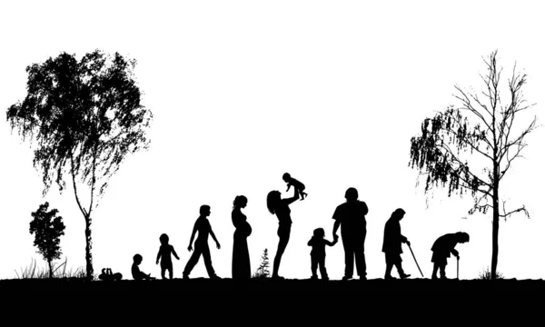 Silhouettes of people. Woman monochrome life cycle abstraction. Vector illustration — стоковый вектор