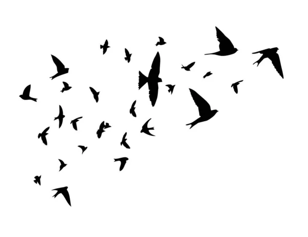 Una bandada de aves voladoras. Pájaros libres. Golondrinas voladoras. Ilustración vectorial — Vector de stock