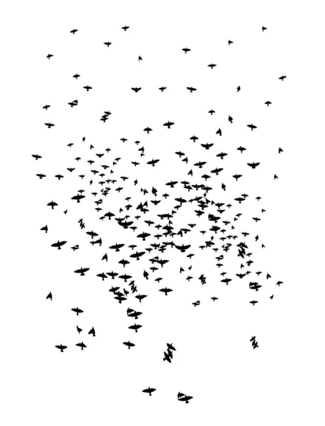 Een zwerm vliegende vogels. Gratis vogels. Vectorillustratie — Stockvector