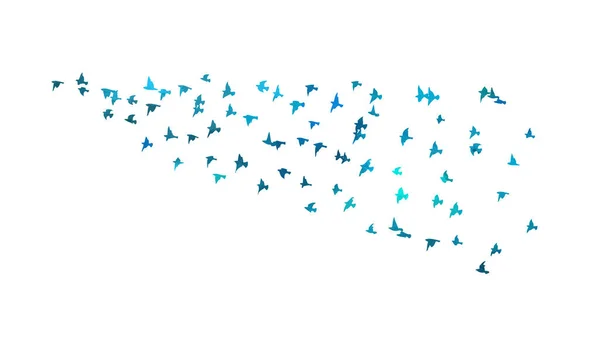 Un troupeau d'oiseaux bleus. Illustration vectorielle — Image vectorielle