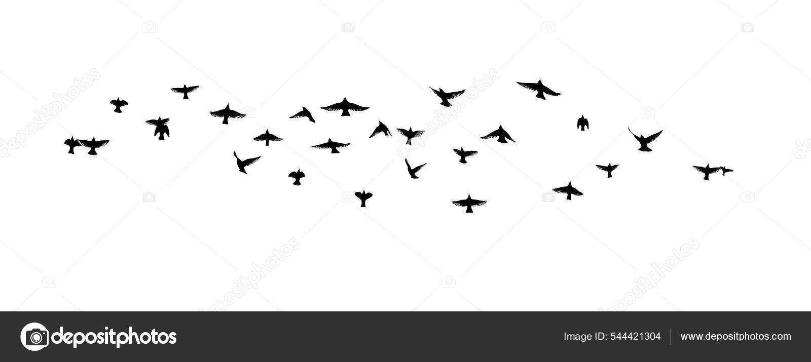 空飛ぶ鳥の群れ 自由鳥だ ベクターイラスト ストックベクター C Maryia777