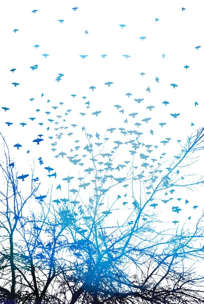 Ilustración realista con siluetas de tres pájaros cuervos o cuervos sentados sobre una rama de árbol azul sin hojas y volando, aislados sobre fondo blanco vector — Vector de stock
