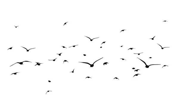 Una bandada de aves voladoras. Pájaros libres. Ilustración vectorial — Vector de stock