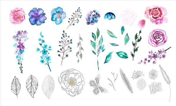 En uppsättning akvarell blomma och blommiga element. Vektorillustration — Stock vektor