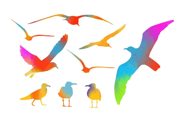 Set of multicolored watercolor sea gulls. Vector illustration — 图库矢量图片