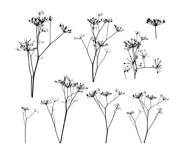 Silhuetas pretas de grama, flores e ervas isoladas em fundo branco. Flores desenhadas à mão do esboço. Ilustração vetorial — Vetor de Stock