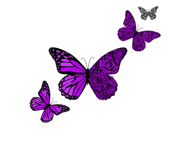 Mariposa Violeta de los patrones. Ilustración con dibujos vectoriales para tatuajes, carteles o estampados. Dibujo dibujado a mano. Recogida de insectos. — Vector de stock