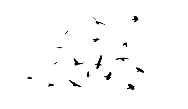 Uno stormo di uccelli volanti. Uccelli liberi. Illustrazione vettoriale — Vettoriale Stock
