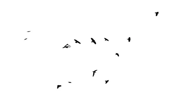 Een zwerm vliegende vogels. Gratis vogels. Vectorillustratie — Stockvector