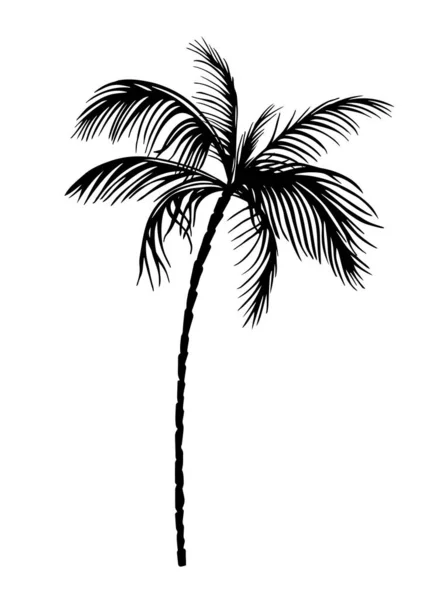 Palmobject zwart. Vectorillustratie — Stockvector