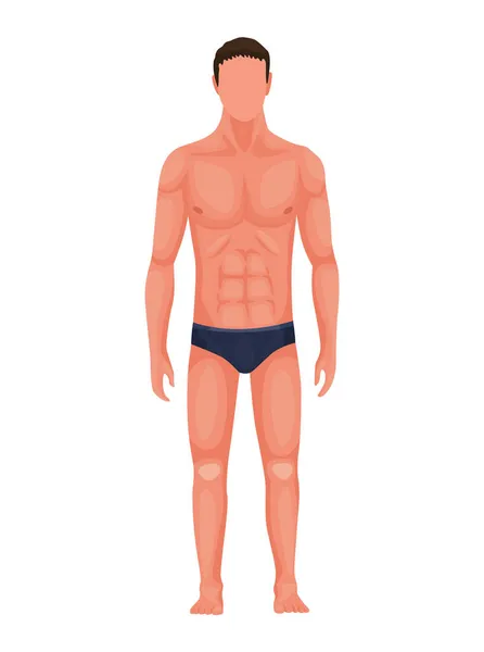 Человеческая анатомия. Полный вид спереди стоящего человека в нижнем белье. Векторная иллюстрация мужской фигуры. Спортивное молодое мужское тело — стоковый вектор
