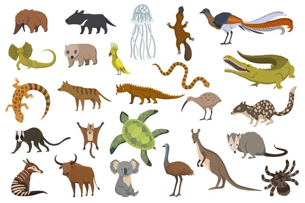オーストラリアの動物。自然動物のコレクション。地理的な地域の動物。大陸に生息する哺乳類。子供のスタイルでベクトルイラスト — ストックベクタ