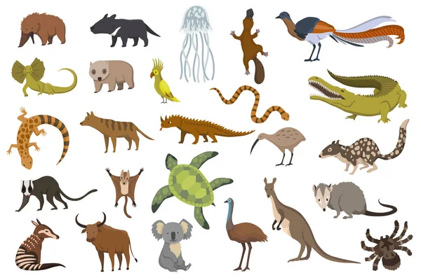 Animales de Australia. Colección de fauna natural. Fauna local geográfica. Mamíferos viviendo en el continente. Ilustración vectorial en estilo infantil — Archivo Imágenes Vectoriales