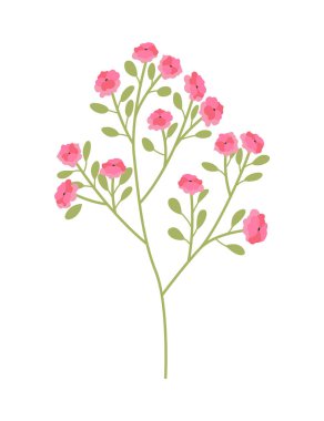 Bahar çiçeği. Botanik çiçek ikonu tasarımı. Beyaz arka planda bahçe bitkisi. Renkli düz vektör çizimi. Düğün davetiyesi ya da albüm için iyi bir dekorasyon.