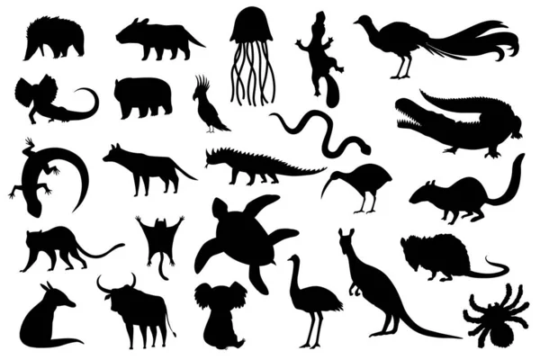 Silhouetten-Tiere Australiens. Naturfauna-Sammlung. Geographische lokale Fauna. Säugetiere leben auf dem Kontinent. Vektorillustration — Stockvektor