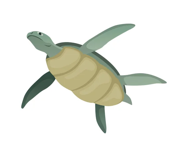 Schildpadkarakter. Groene zee of oceaan schildpad zwemmen. Wilde dieren in de schelp. Vlakke vector illustratie geïsoleerd op witte achtergrond — Stockvector