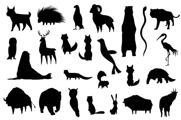 Siluetas animales de Norteamérica. Colección de fauna natural. Fauna local geográfica. Mamíferos viviendo en el continente. Ilustración vectorial — Vector de stock