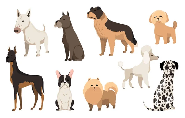 Köpekler koleksiyon üretir. Sevimli komik çizgi film evcil hayvan karakterleri düz vektör çizimi. İnsan dostları ev hayvanları — Stok Vektör