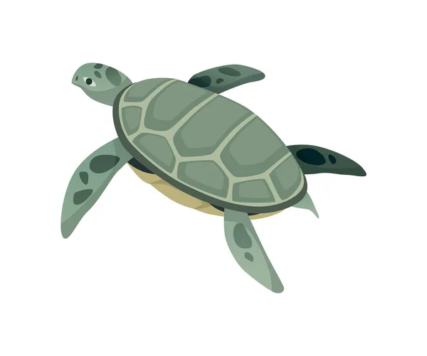 Turtle character. Green sea or ocean tortoise swimming. Wildlife animal in shell. Flat vector illustration isolated on white background — Stock Vector