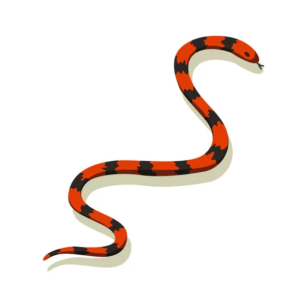 Serpiente venenosa. Peligro animal de color. Reptil venenoso gatear. Carácter decorativo, vida silvestre naturaleza animal — Archivo Imágenes Vectoriales