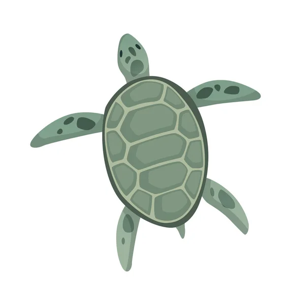 Carácter tortuga. Verde mar o mar tortuga natación. Fauna silvestre en concha. Ilustración vectorial plana aislada sobre fondo blanco — Archivo Imágenes Vectoriales