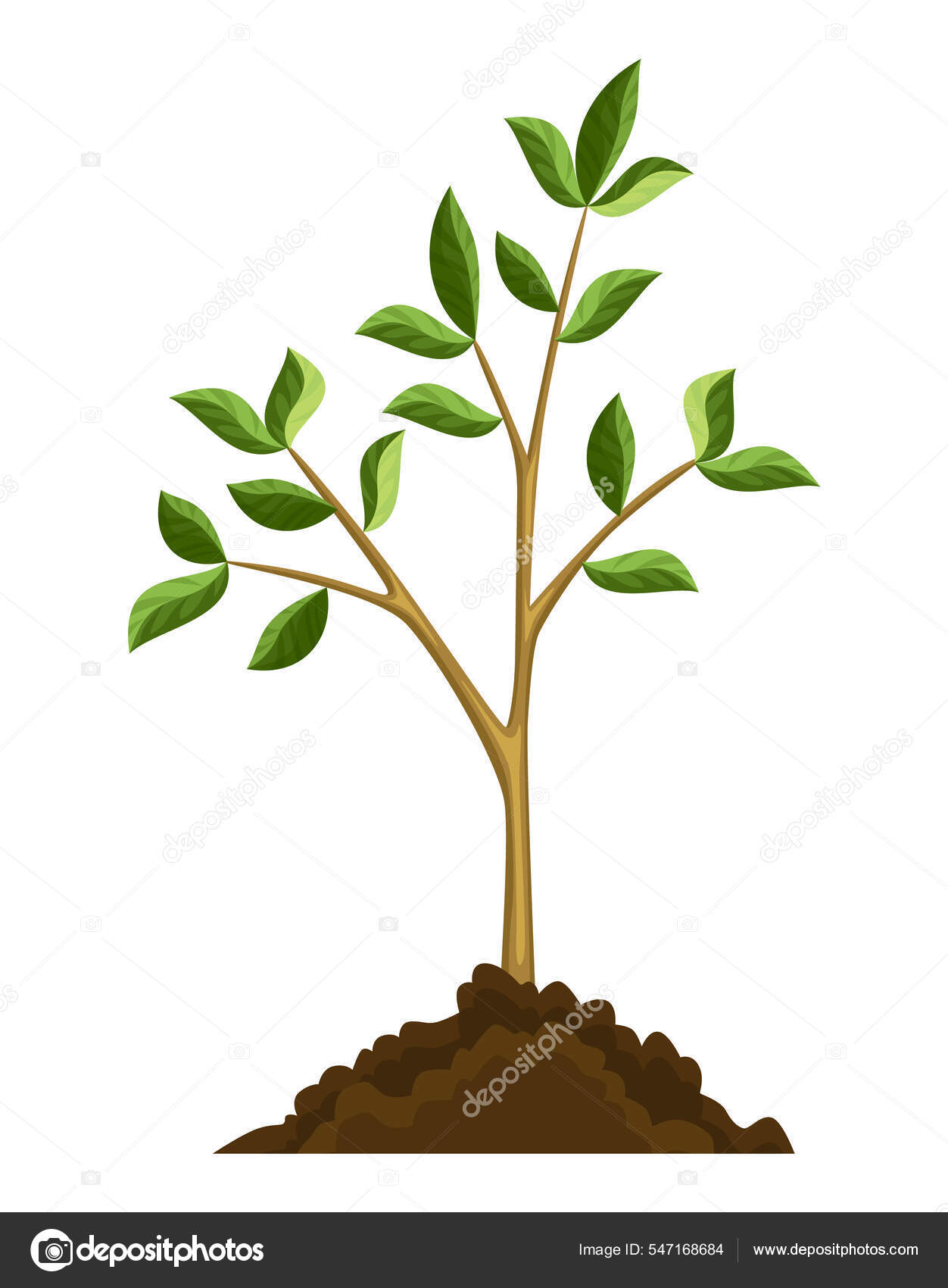 Stage of tree growth. Small tree growth with green leaf and branches. Green sprout broke through the ground. Nature plant illustration Stock Vector Image by ©Designer_things #547168684 Stage of tree growth. Small tree growth with green leaf and branches. Green sprout broke through the ground. Nature plant illustration Stock Vector Image by ©Designer_things #547168684