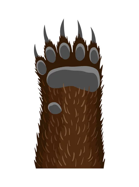 Zwierzęca łapa. Animalistyczna stopa niedźwiedzia. Śmieszne futro zwierzę z niebezpiecznymi pazurami — Wektor stockowy