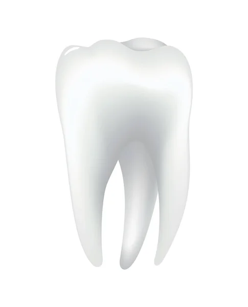 Dente humano brilhante branco. Ícone do vetor médico dentário. Símbolo da clínica de estomatologia. Proteção dos dentes, cuidados orais ou dentários. Restauração dos dentes —  Vetores de Stock