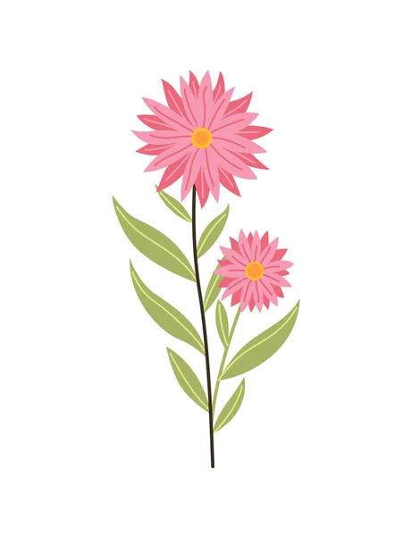 Весенний цветок Дизайн ботанических цветочных икон. Садовое растение на белом фоне. Цветная плоская векторная иллюстрация. Хорошее украшение для свадебного приглашения или шрапбука — стоковый вектор