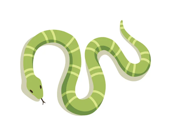Serpent venimeux. Danger animal de couleur. Les reptiles empoisonnés rampent. Caractère décoratif, faune nature animal — Image vectorielle