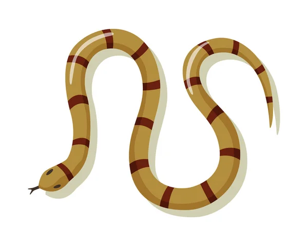 Mérges kígyó. Veszélyes színű állat. Mérgező hüllő mászás. Dekoratív karakter, vadon élő állatok természet állat — Stock Vector