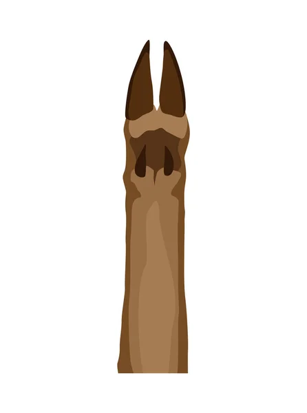 Лапа тварин. Анімалістична нога кабана. Забавна тварина. мила частина тіла тварин мультфільму ізольована на білому тлі — стоковий вектор
