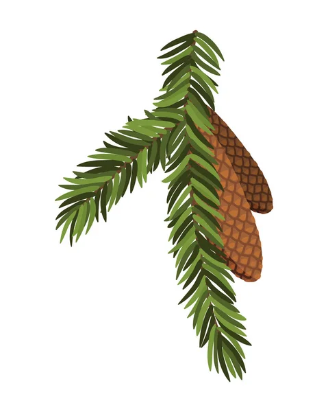 Fir tree branch with hanging cone. Green spruce branch as natural evergreen decoration element for banner. Isolated on white vector illustration — Stock Vector