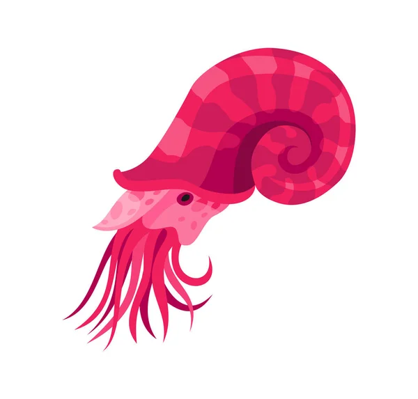 Squid - sea and ocean animal. Fauna character in flat cartoon style. Vector cute colorful object isolated on white background — стоковый вектор