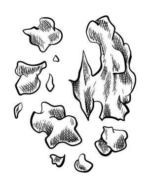 Ceviz parçası. Marka şablonu, ambalajı ya da amblem çiftçi pazarı tasarımı için elle çizilmiş fındık. Doğal sağlıklı yiyecekler. El yazısı grafik tekniği, oymalı illüstrasyon