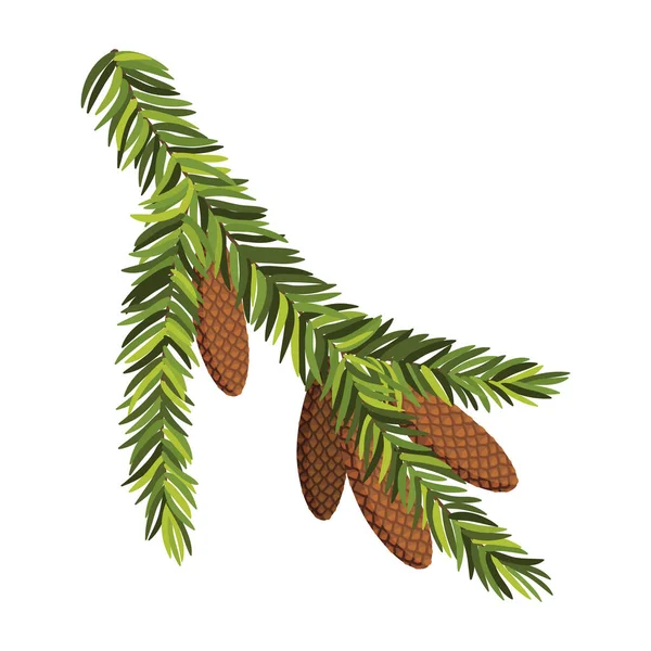 Asılı konisi olan firavun ağacı dalı. Yeşil ladin dalı, afiş için doğal yeşil süsleme unsurudur. Beyaz vektör illüstrasyonunda izole — Stok Vektör
