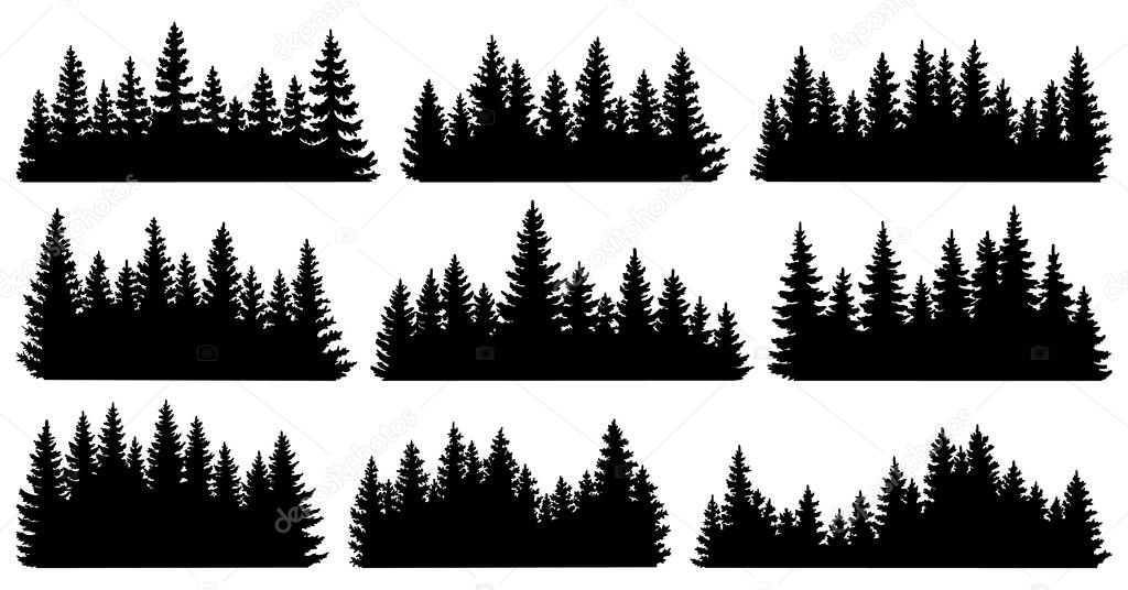 Fir trees silhouettes. Coniferous spruce horizontal background patterns, black evergreen woods vector illustration. Beautiful hand drawn panorama with treetops forest