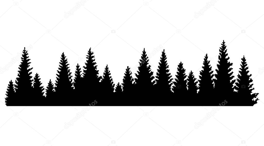 Fir trees silhouettes. Coniferous or spruce forest horizontal background pattern, black pine woods vector illustration. Beautiful hand drawn coniferous panorama