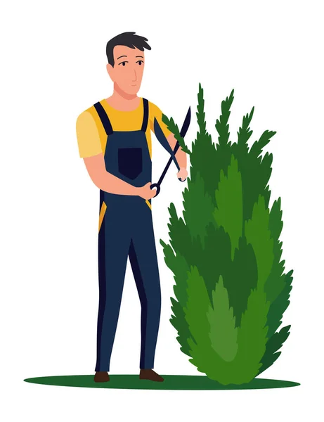 Árbol profesional de poda de jardinero con podadoras o tijeras de jardín. Hombre trabajando con arbustos en el patio trasero. Ilustración vectorial plana coloreada del trabajador en uniforme aislado sobre fondo blanco — Vector de stock